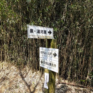 IMG20190407102741.jpg
