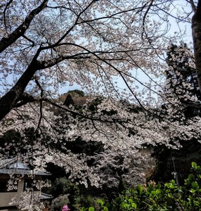 IMG20190407114449.jpg