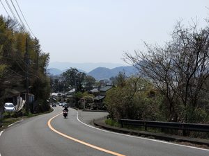 IMG20190407125248.jpg