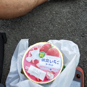 IMG20190407133006.jpg
