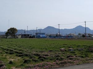 IMG20190407135448.jpg