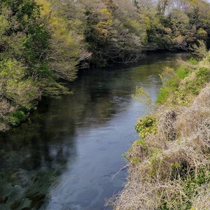 IMG20190407140852.jpg