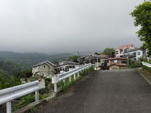 IMG20190512093226.jpg