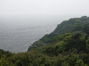 IMG20190512093754.jpg