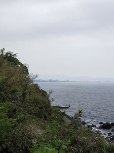 IMG20190512102456.jpg