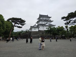 IMG20190512110742.jpg