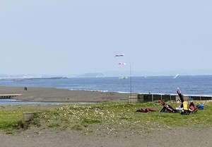 IMG20190512142219.jpg