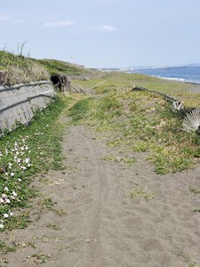 IMG20190512142742.jpg