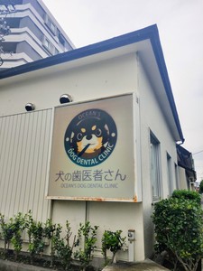 IMG20190715134612.jpg