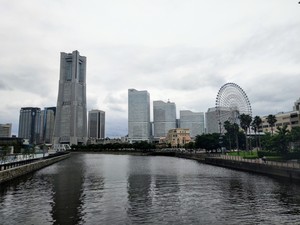 IMG20190715153341.jpg