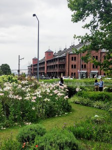 IMG20190715153818.jpg