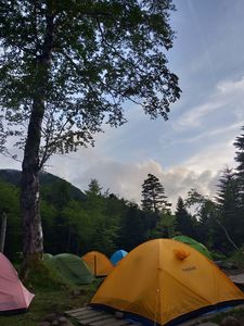 IMG20190812181953.jpg