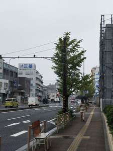 IMG20191014092754.jpg