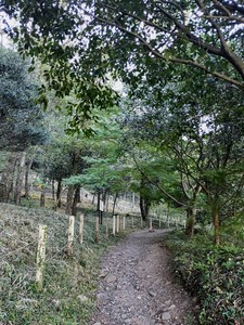 IMG20191104124937.jpg