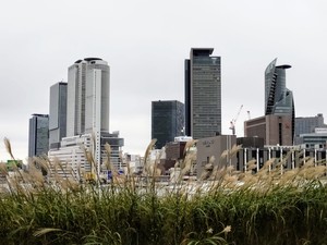 IMG20191128121619.jpg