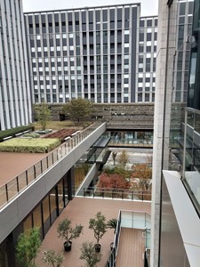 IMG20191128121706.jpg