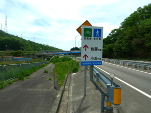 P1100372.JPG
