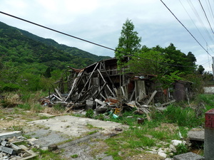 P1100378.JPG