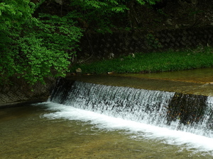 P1100379.JPG