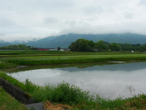 P1100391.JPG