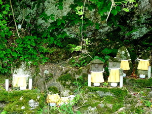 P1100395.JPG