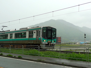 P1100397.JPG