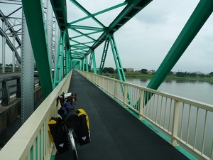 P1100586.jpg