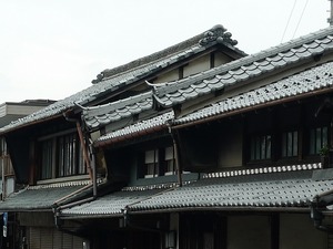 P1100588.jpg